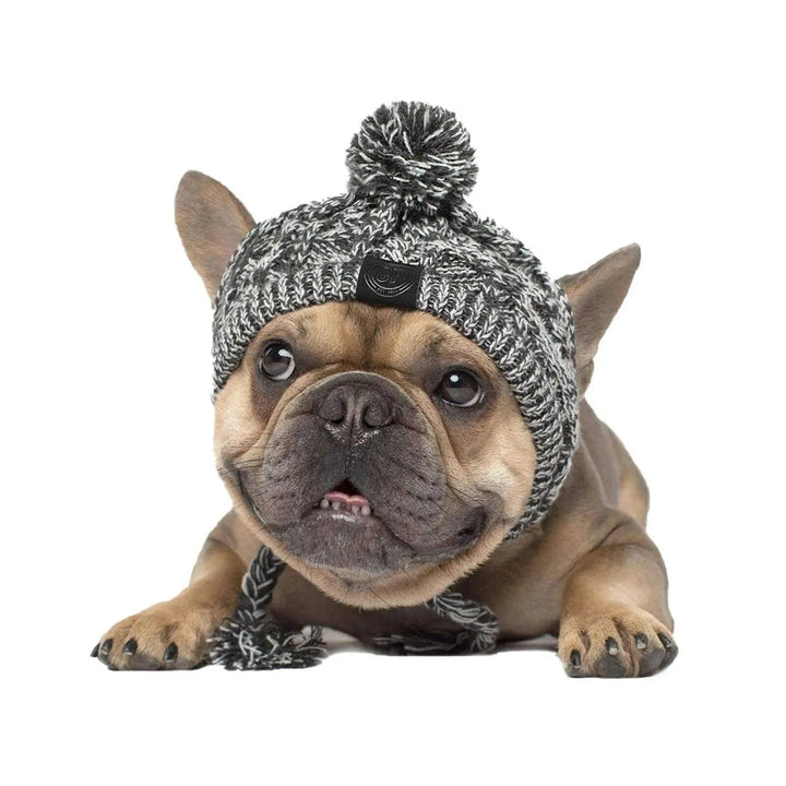 Cozy Winter Warm Dog Hats - themiraclebrands.com