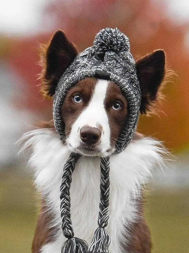 Cozy Winter Warm Dog Hats - themiraclebrands.com