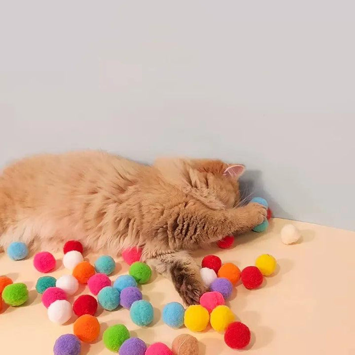 Creative Cat Toys Endless Feline Fun - themiraclebrands.com