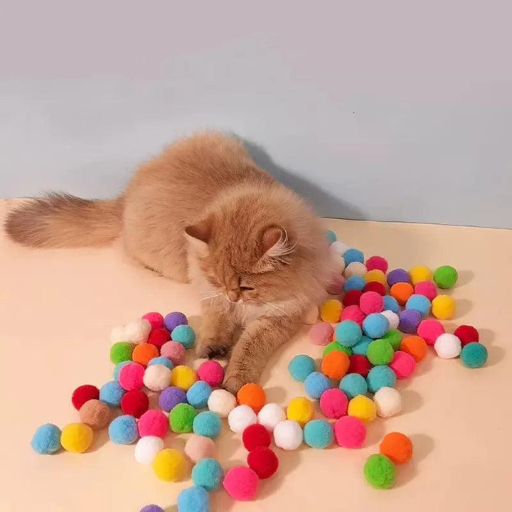 Creative Cat Toys Endless Feline Fun - themiraclebrands.com