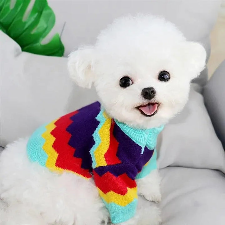 Creative Letter Dog Knit Sweater - themiraclebrands.com