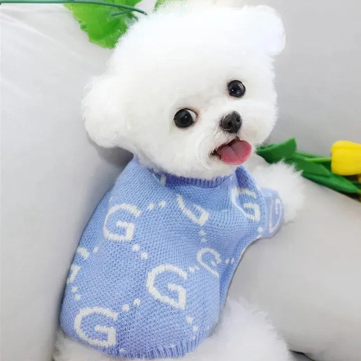 Creative Letter Dog Knit Sweater - themiraclebrands.com