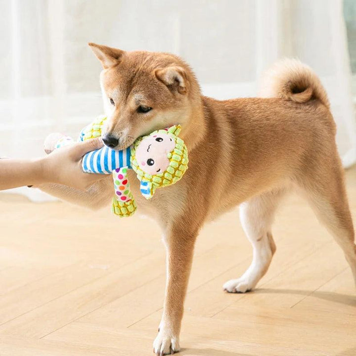 Cute Chew-Resistant Pet Plush Puzzle Toy - themiraclebrands.com