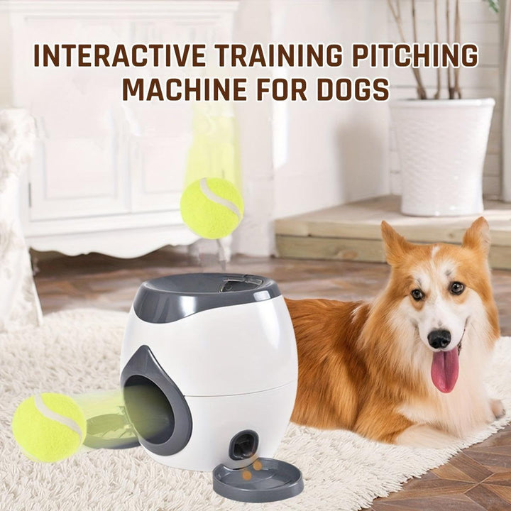 Interactive Dog Ball Launcher - themiraclebrands.com