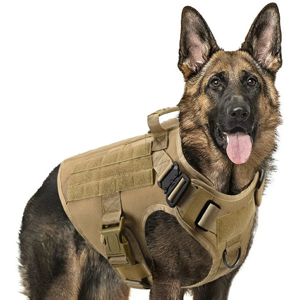 Tactical Dog Harness and Leash Set with Handle & 2 Leash Clips