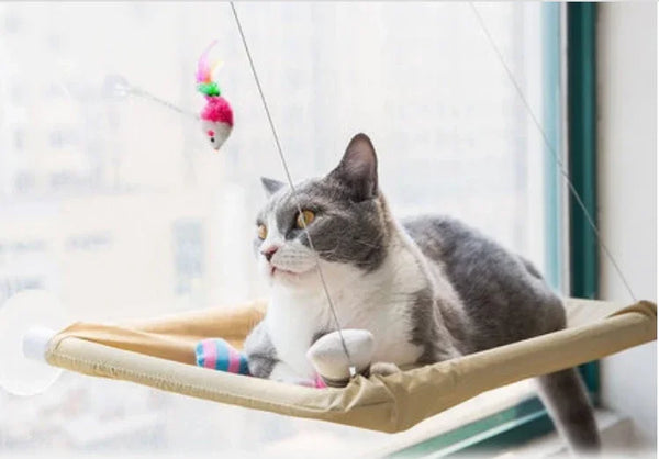 Heavy-Duty Cat Window Bed – Sunbathing Perch with Strong Suction Cups