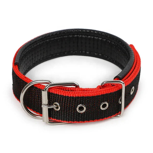 Durable Adjustable Dog Collar – Red/Black – For Small to Medium Dogs