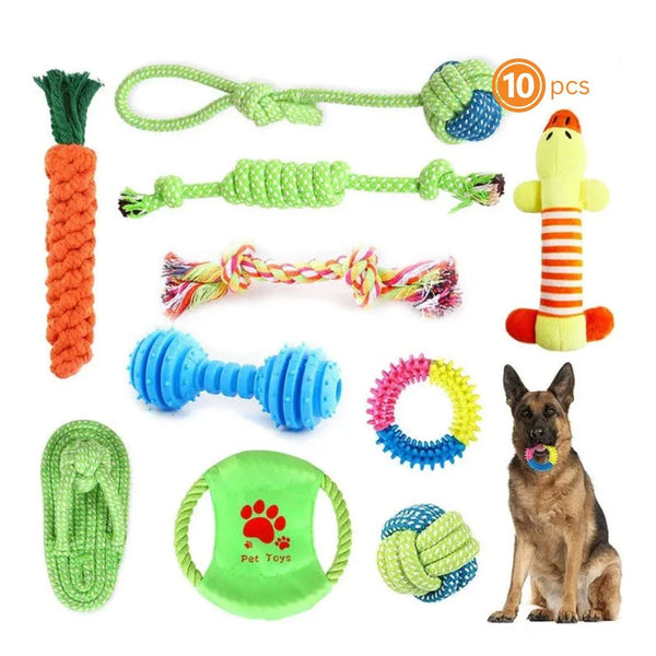 10pcs Bite-Resistant Dog Chew Toys Set