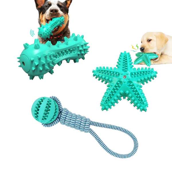 3 Pack Squeaky Toothbrush & Rope Ball Dog Toys