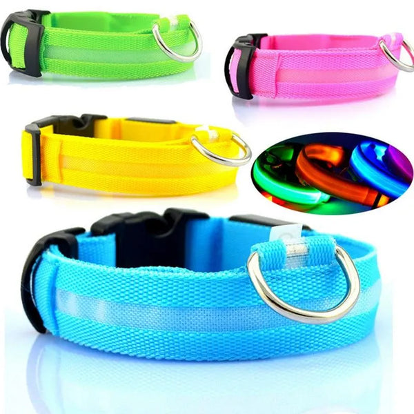 USB Rechargeable LED Pet Dog Collar – High Visibility Night Safety
