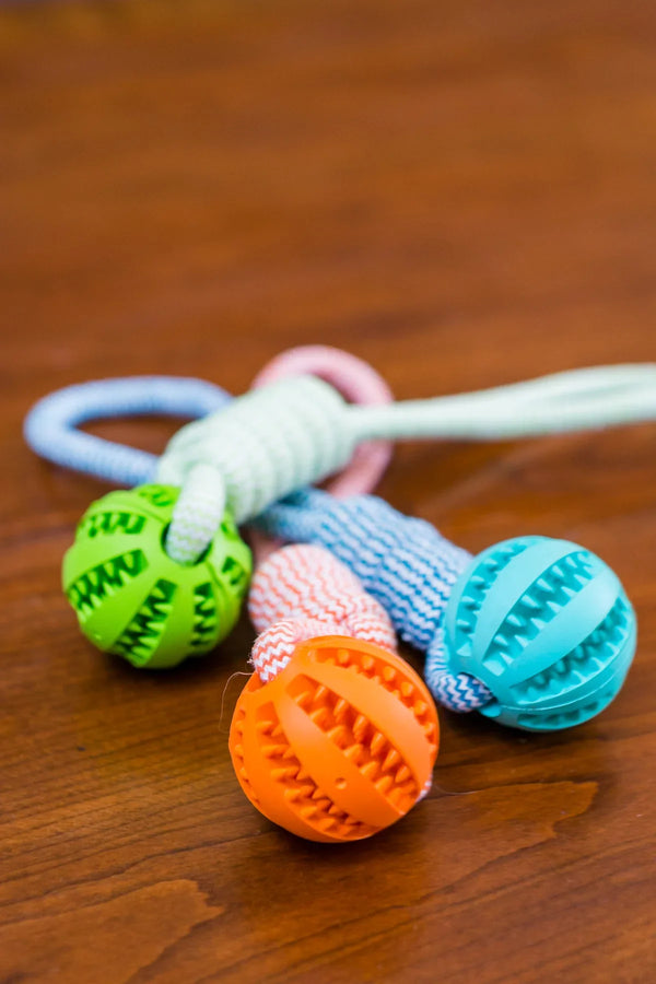 Durable Rubber Ball Dog Chew Toy with Cotton Rope