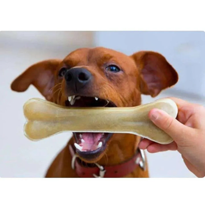 Dental Delights Cowhide Dog Bones - themiraclebrands.com