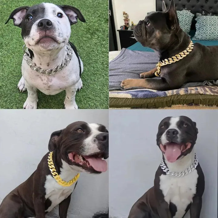Diamond Inlay Dog Collar Stylish Pet Accessory - themiraclebrands.com