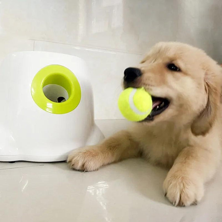 Dog Ball Launcher Catapult Toy with Tennis Ball - themiraclebrands.com