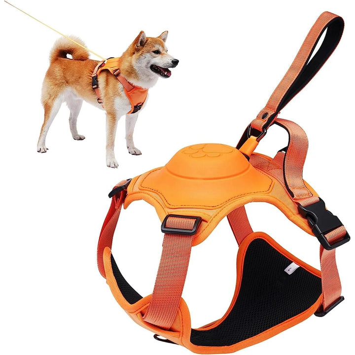 Dog Harness and Retractable Leash Set All-in-One - themiraclebrands.com