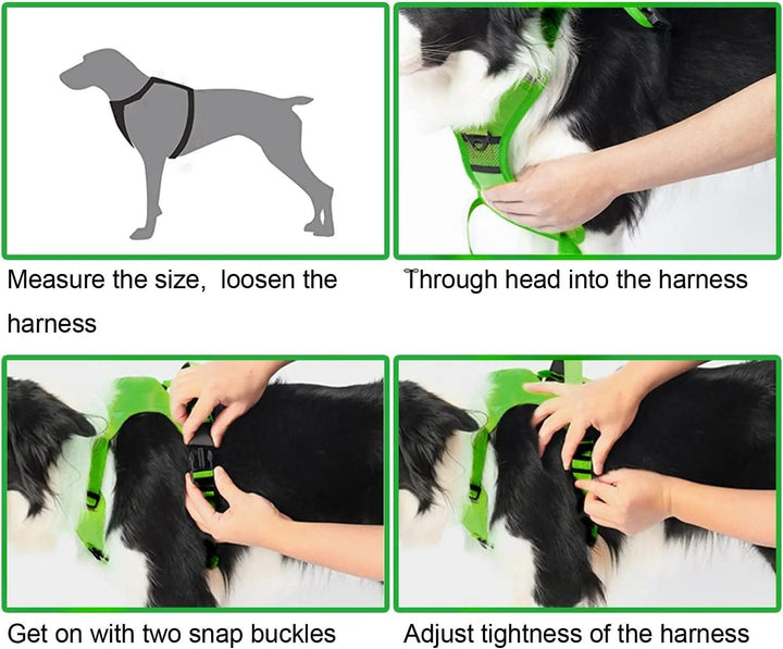 Dog Harness and Retractable Leash Set All-in-One - themiraclebrands.com