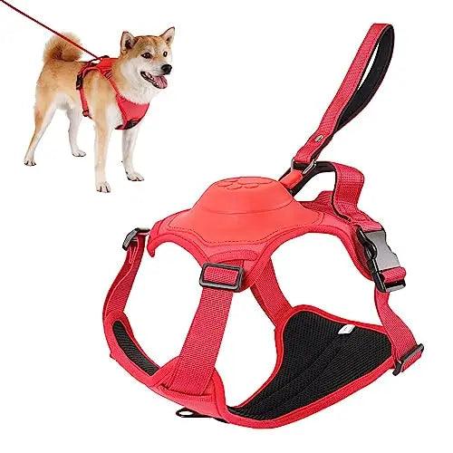 Dog Harness and Retractable Leash Set All-in-One - themiraclebrands.com