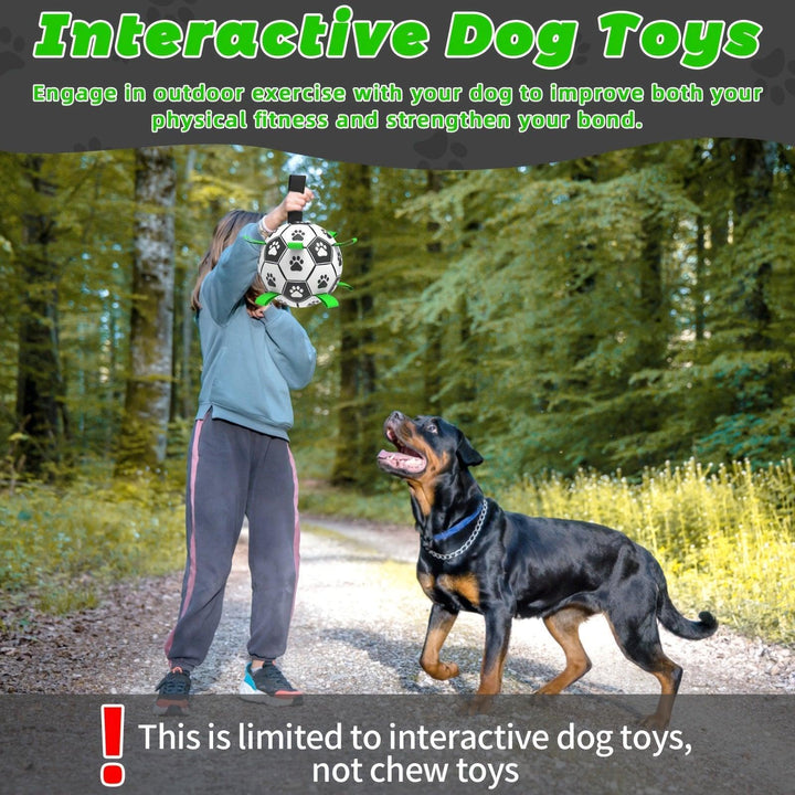 Dog Soccer Ball for Indoor and Outdoor Play - themiraclebrands.com