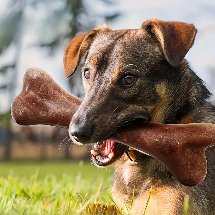 Durable Beef Flavored Dog Chew Toy - themiraclebrands.com