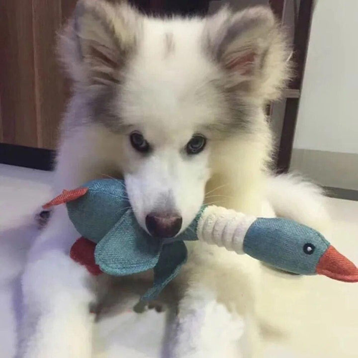 Durable Mallard Duck Dog Toy - themiraclebrands.com