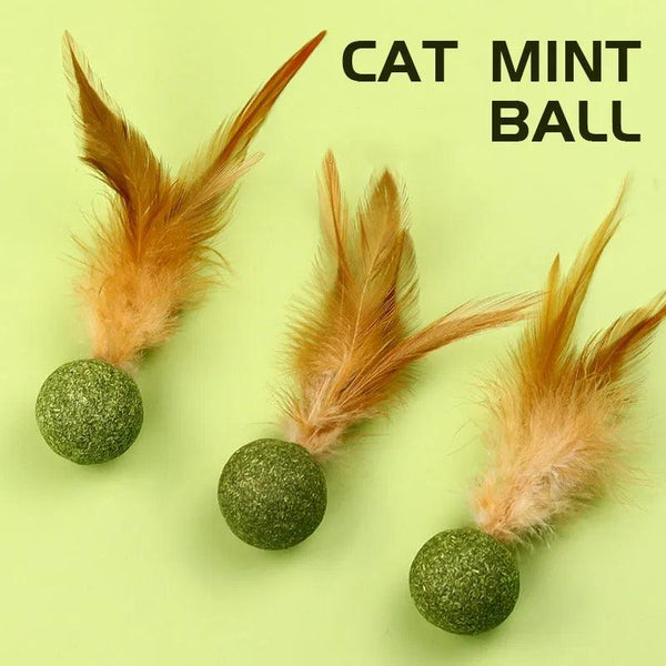 Edible Catnip Ball for Healthy Cat - themiraclebrands.com