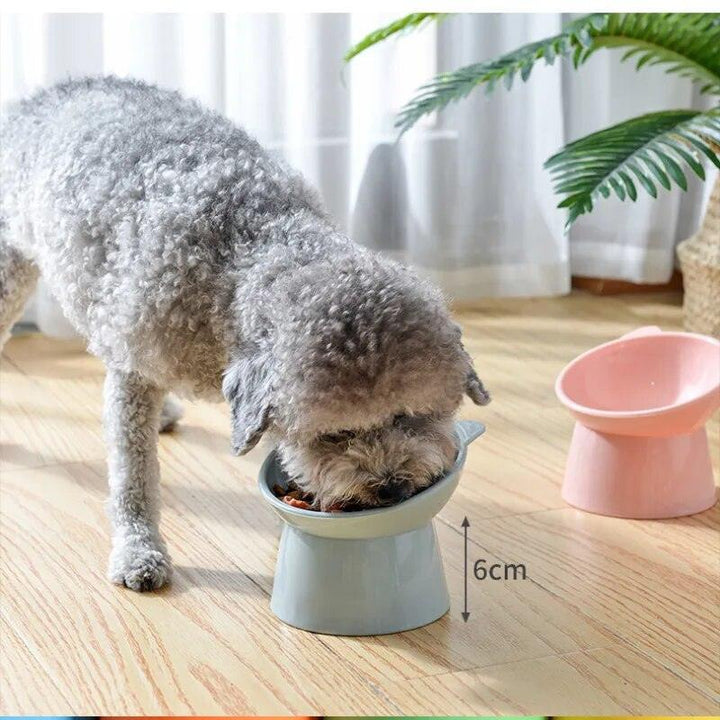 Elevated Pet Food Bowl with Tilt High Bottom - themiraclebrands.com