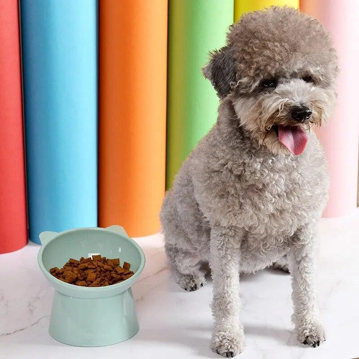 Elevated Pet Food Bowl with Tilt High Bottom - themiraclebrands.com