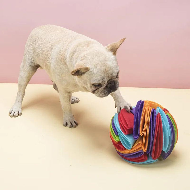 Engage Educate Entertain Sniffing Mat Ball - themiraclebrands.com