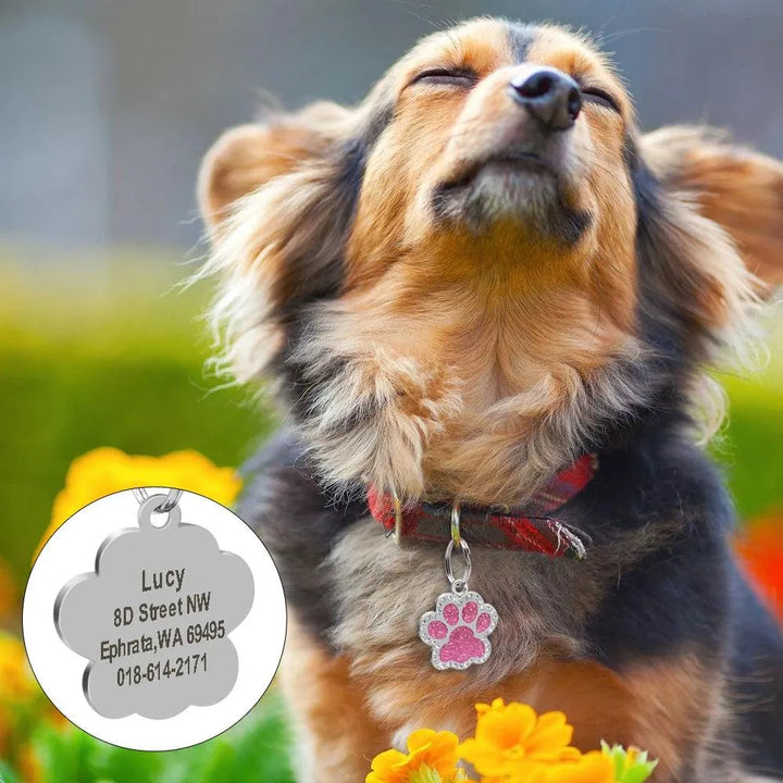 Engraved Pet ID Collar Tag - themiraclebrands.com