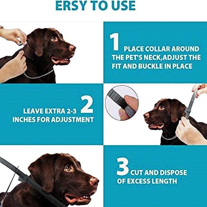 Extendable Anti-Flea & Tick Pet Collar - themiraclebrands.com