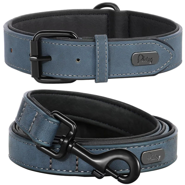 Didog Soft Padded Leather Collar & Leash Kit for Small Dogs