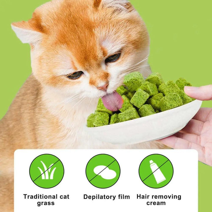 Freeze Dried Catnip Chicken Breast Treats - themiraclebrands.com