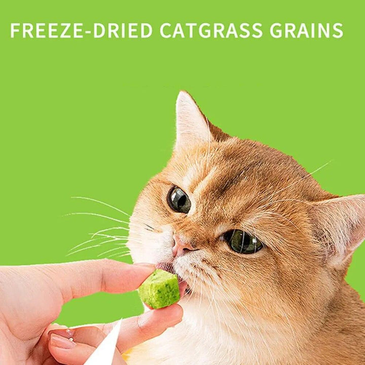 Freeze Dried Catnip Chicken Breast Treats - themiraclebrands.com