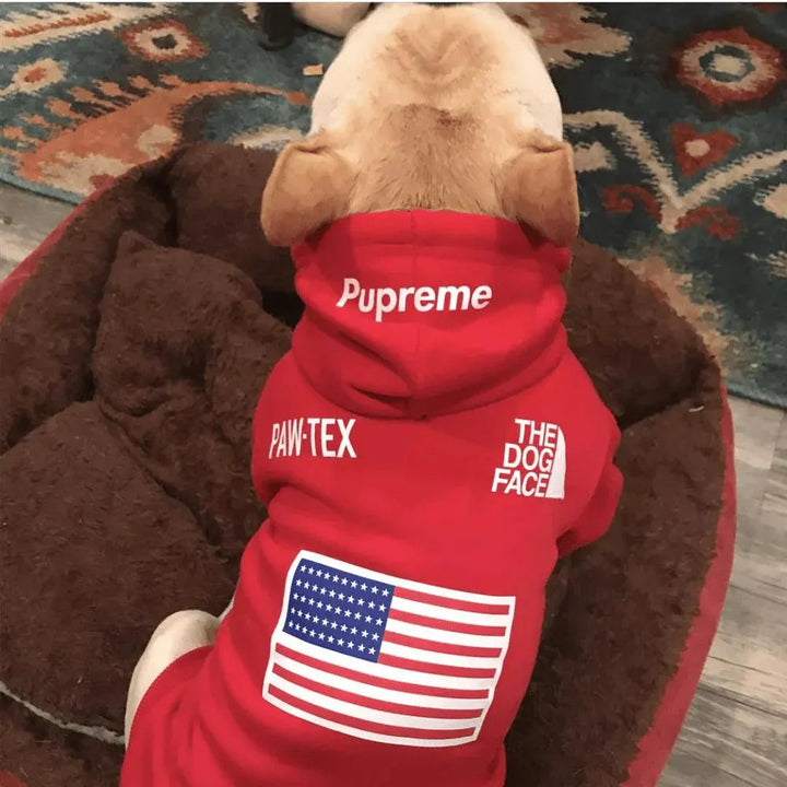 French Bulldog Adidog Hoodie - Warm Pet Clothes - themiraclebrands.com