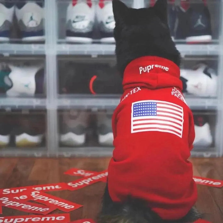 French Bulldog Adidog Hoodie - Warm Pet Clothes - themiraclebrands.com