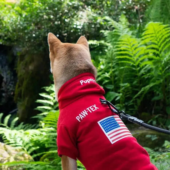 French Bulldog Adidog Hoodie - Warm Pet Clothes - themiraclebrands.com