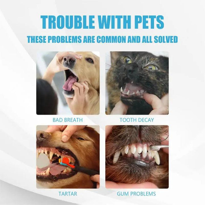 Fresh Breath Pet Toothpaste 60g - themiraclebrands.com