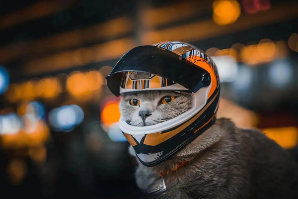 Full Face Pet Motorcycle Helmet - themiraclebrands.com