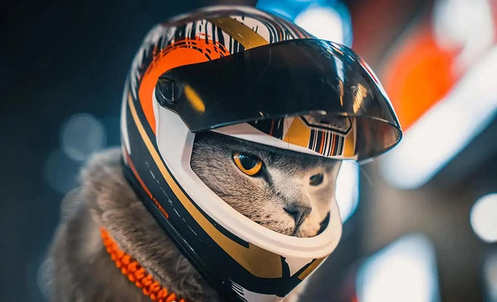 Full Face Pet Motorcycle Helmet - themiraclebrands.com
