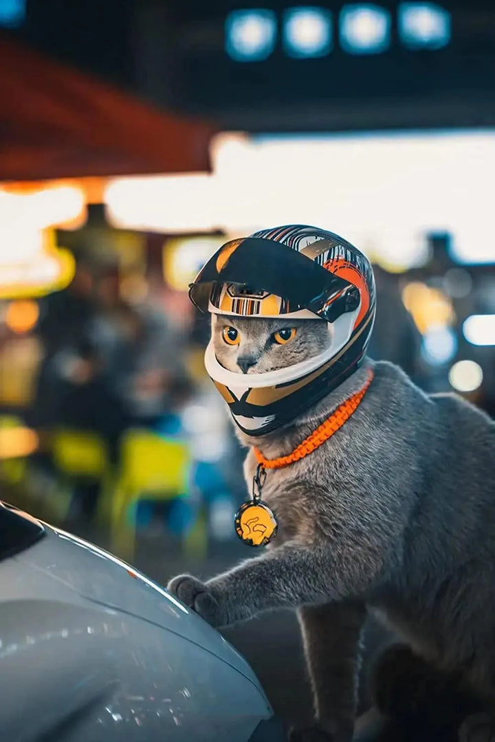 Full Face Pet Motorcycle Helmet - themiraclebrands.com