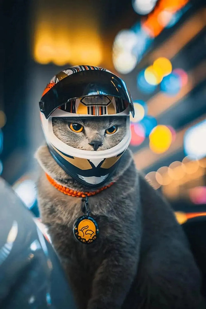 Full Face Pet Motorcycle Helmet - themiraclebrands.com