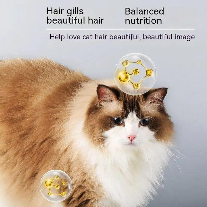 Gluten-Free Chicken Cat Food Dental Benefits - themiraclebrands.com