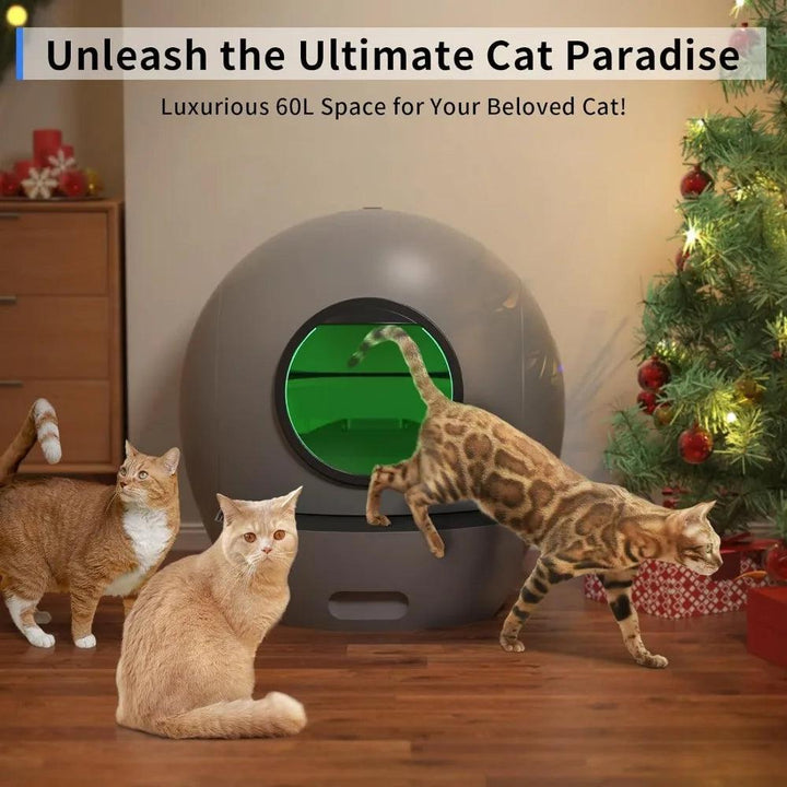 Hands Off Self Cleaning Cat Litter Box - themiraclebrands.com