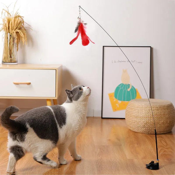 HandsFree Interactive Cat Toy Stick - themiraclebrands.com