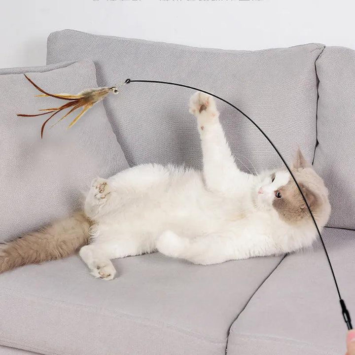 HandsFree Interactive Cat Toy Stick - themiraclebrands.com