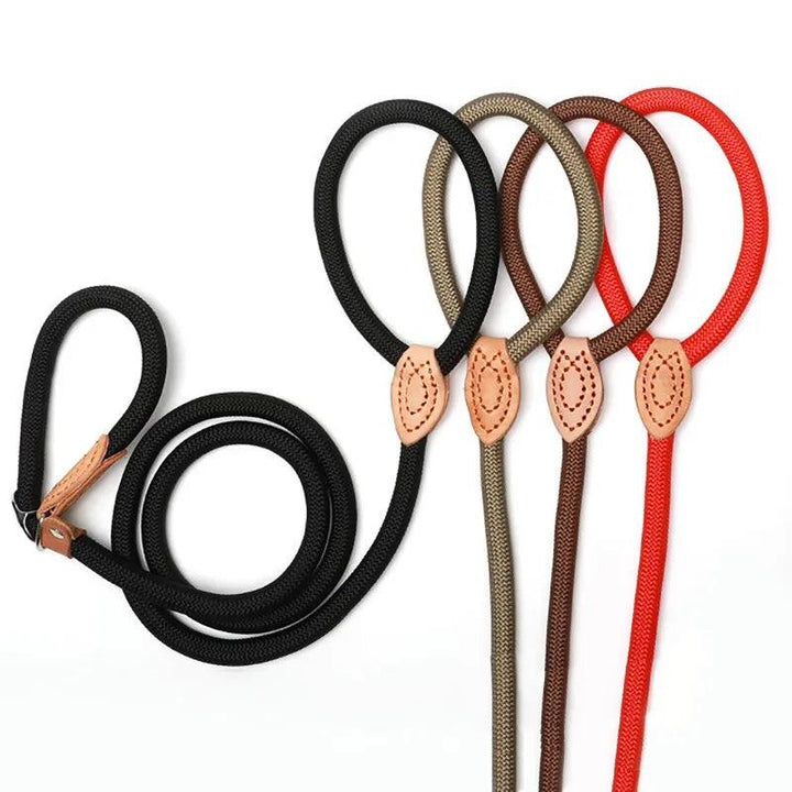 Heavy-Duty Slip Rope Lead Leash Ultimate Control - themiraclebrands.com