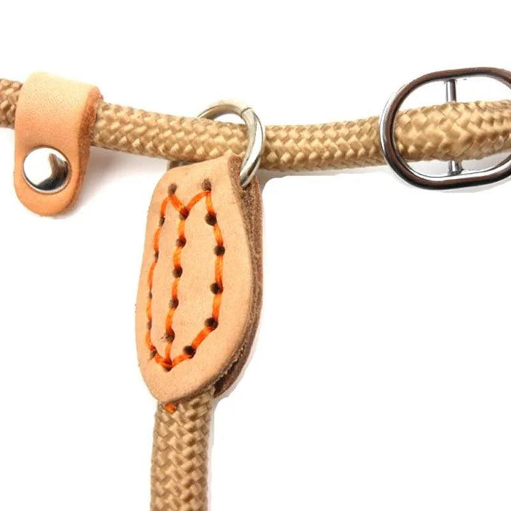 Heavy-Duty Slip Rope Lead Leash Ultimate Control - themiraclebrands.com