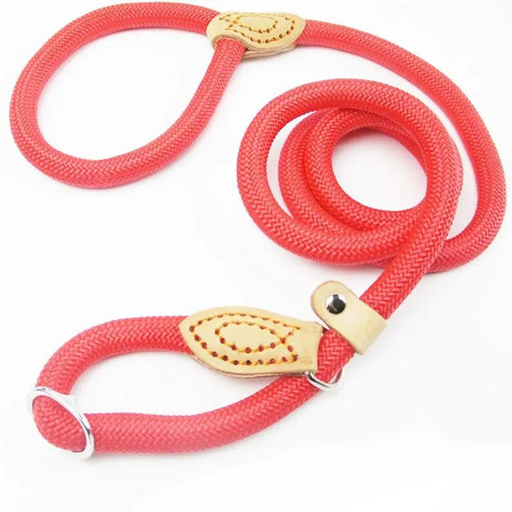 Heavy-Duty Slip Rope Lead Leash Ultimate Control - themiraclebrands.com