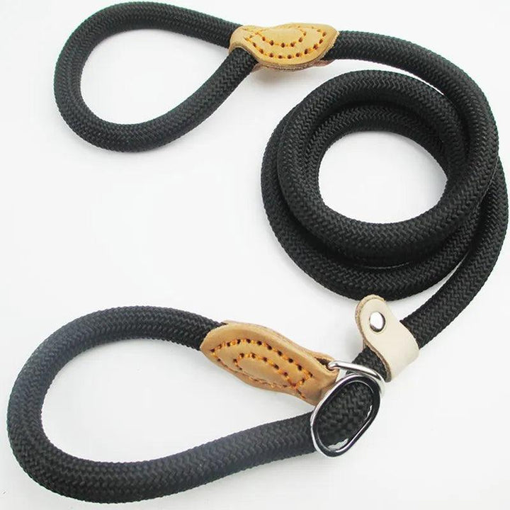 Heavy-Duty Slip Rope Lead Leash Ultimate Control - themiraclebrands.com