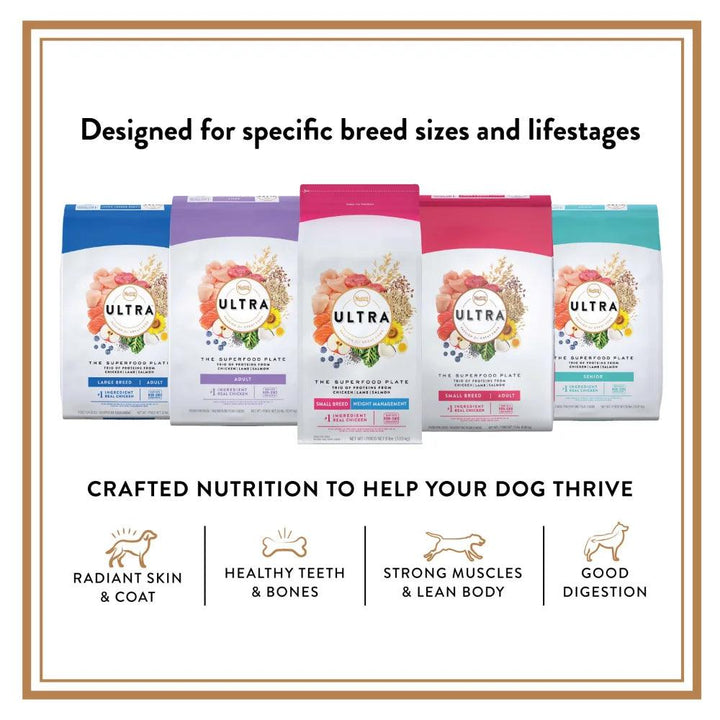 High Protein Small Breed Dog Food 8 lbs - themiraclebrands.com